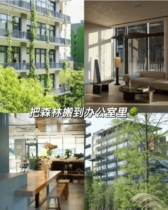 搬进园区的宝藏办公室你去过几个？麻将胡了