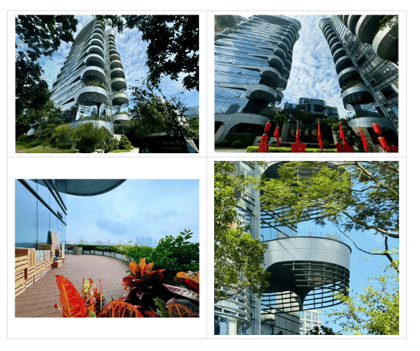 搬进园区的宝藏办公室你去过几个？麻将胡了2模拟器深圳这些把园林(图3)